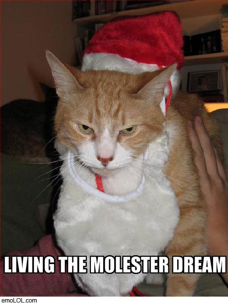 emo-animal-pictures-molester-santa-cat